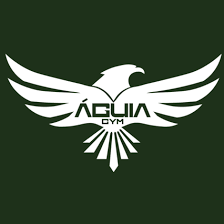 imgi_96_AGUIA-GYN-ACADEMIA